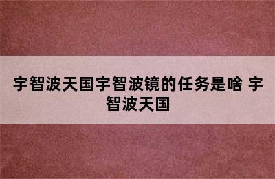 宇智波天国宇智波镜的任务是啥 宇智波天国